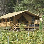 Domaine Du Siestou Wine Resort&spa 3* Laure-Minervois