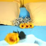 Domaine Du Siestou Wine & Bed and breakfast Laure-Minervois