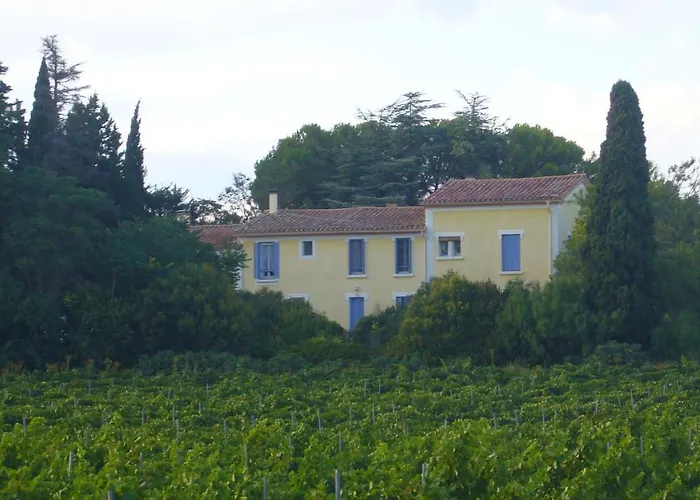 Domaine Du Siestou Wine & Bed & Breakfast 3*