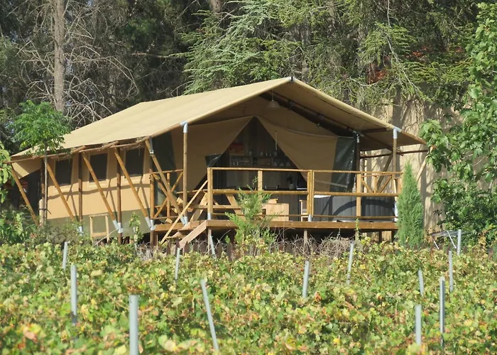 Domaine Du Siestou Wine & 3* Laure-Minervois
