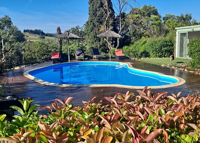Domaine Du Siestou Wine & Bed & Breakfast Laure-Minervois