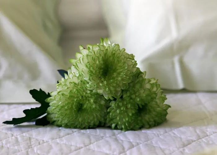 Bed & Breakfast Domaine Du Siestou Wine &