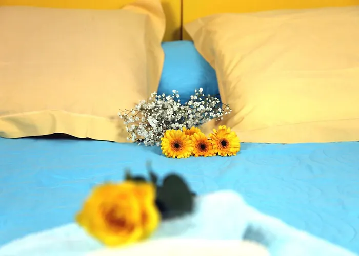Domaine Du Siestou Wine & Bed & Breakfast Laure-Minervois